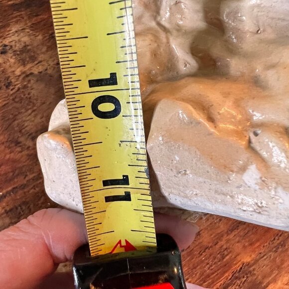 1940’s Chalkware Cockatoo - Picture 7 of 13